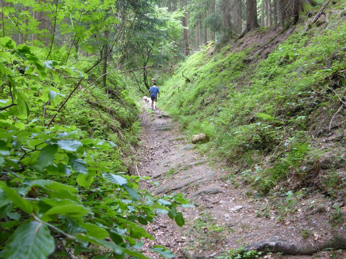 Kueken Winterberg Apartment ภายนอก รูปภาพ