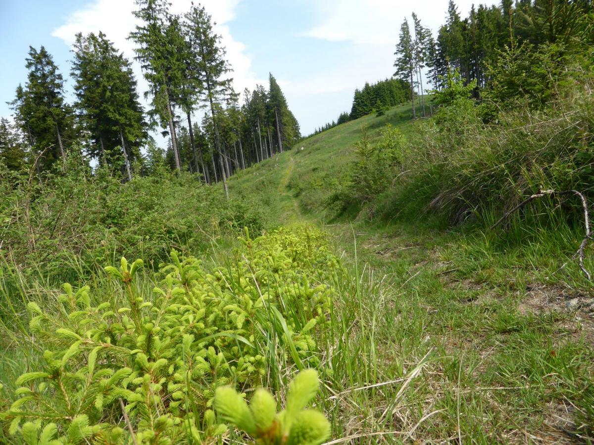 Kueken Winterberg Apartment ภายนอก รูปภาพ